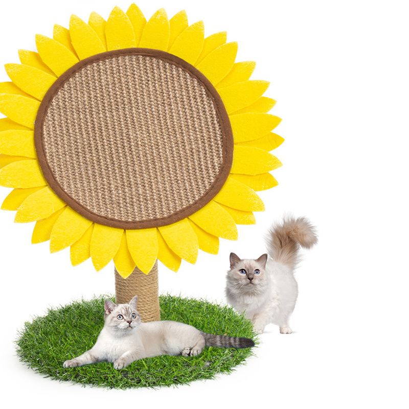 Cat scratch Pad