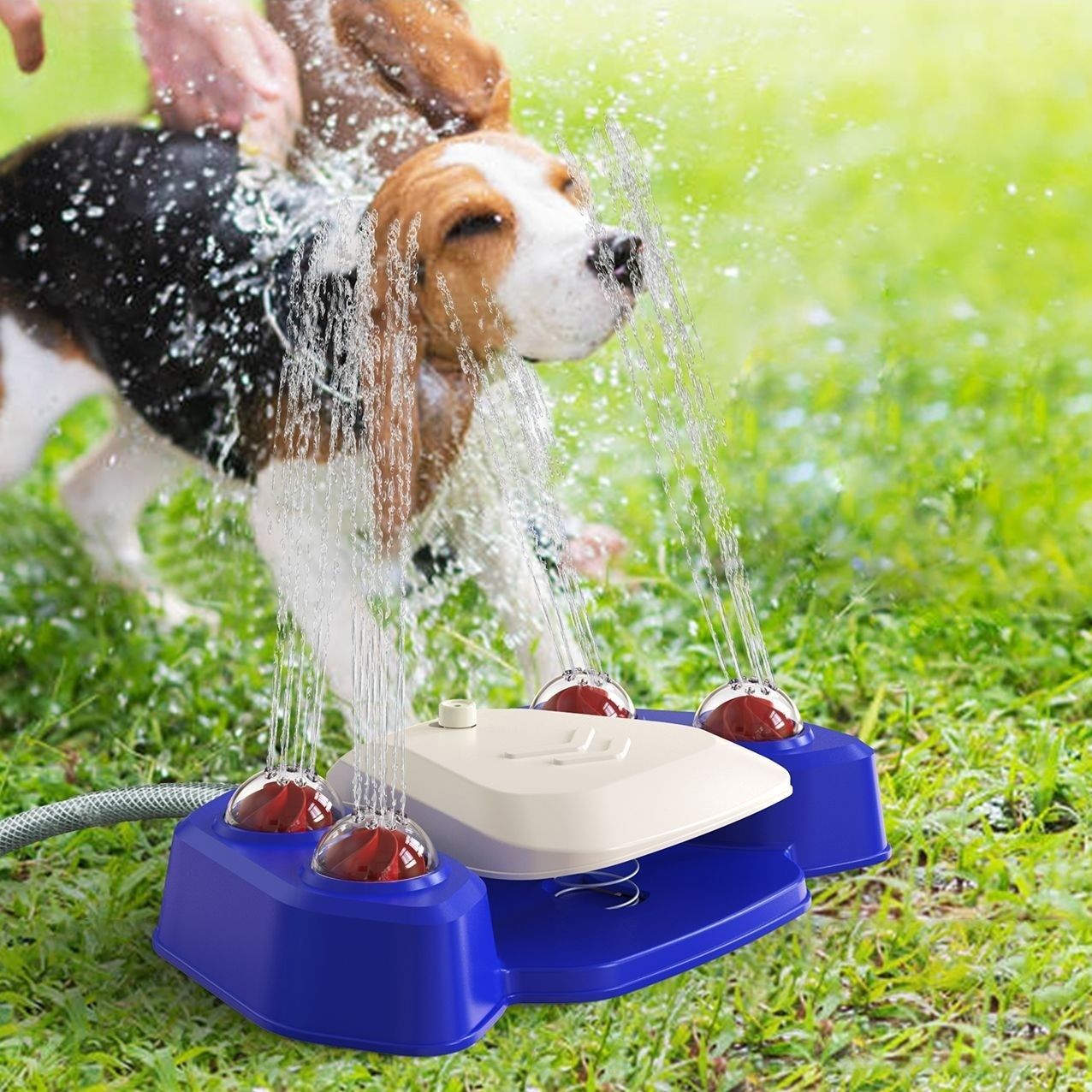 Pet Sprinkler System