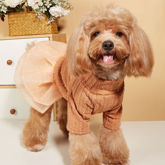 Pet Clothes. Dog dress