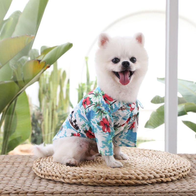 Dog beach shirt