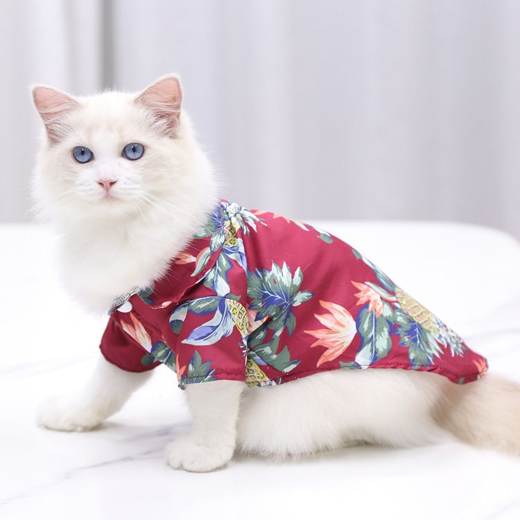 Cat beach shirt clothes