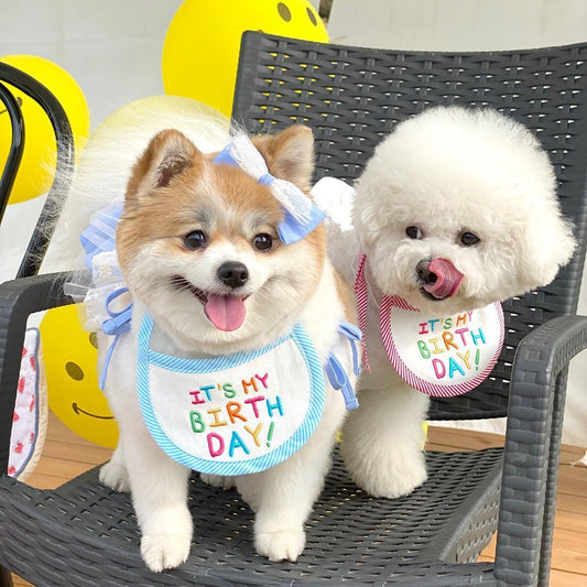 Pet Bib, Dog Bib, Cat Bib Happy Birthday 