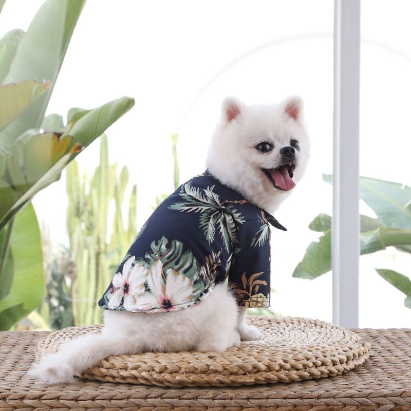 Dog beach shirt Pet
