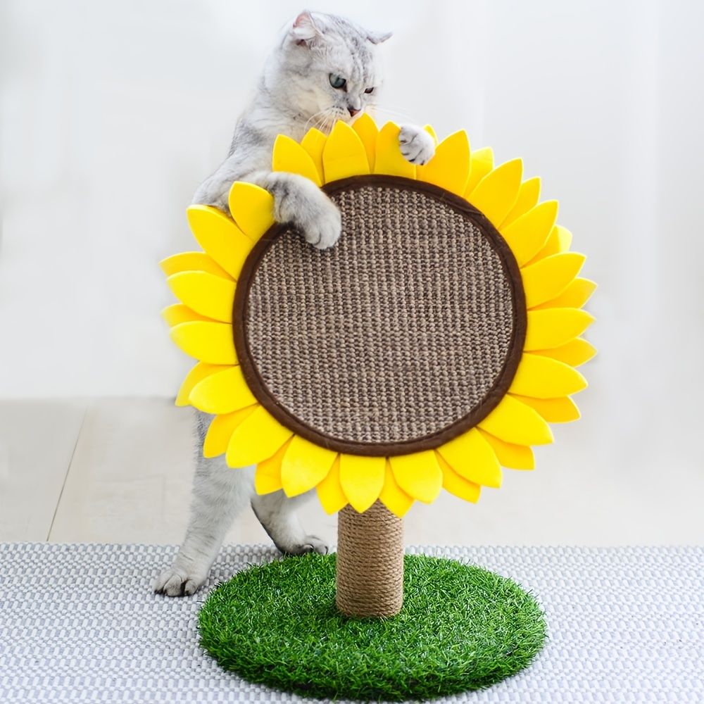 Pet scratch Pad