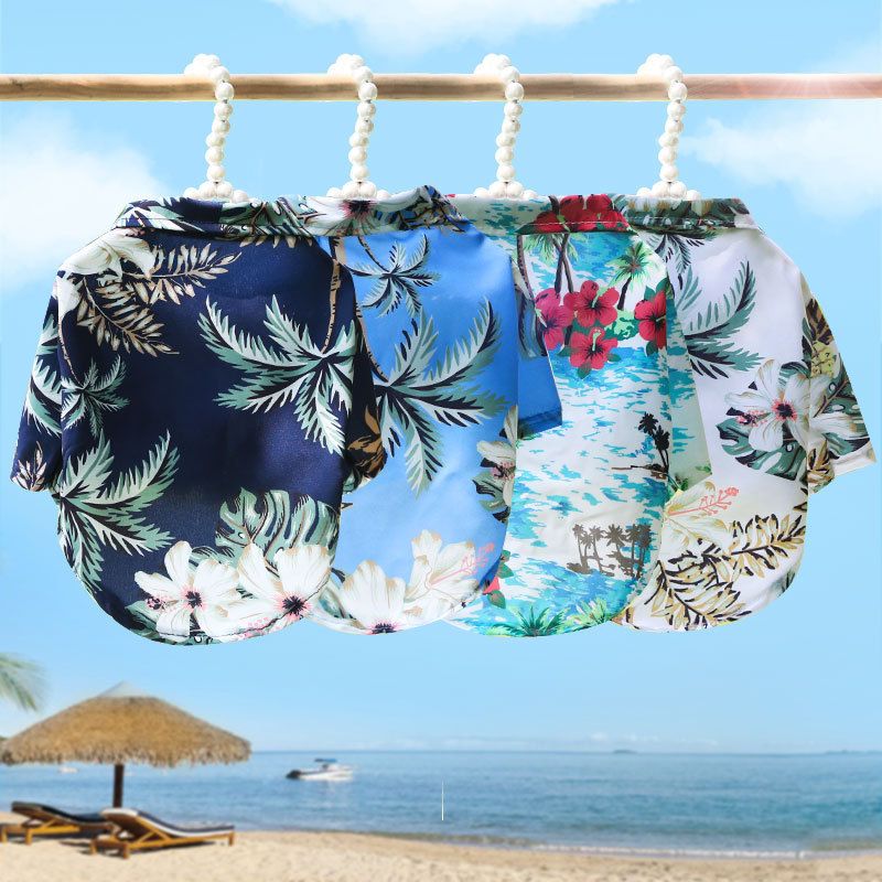 Per beach shirt clothes 